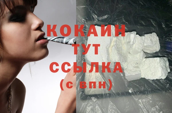 дживик Богданович