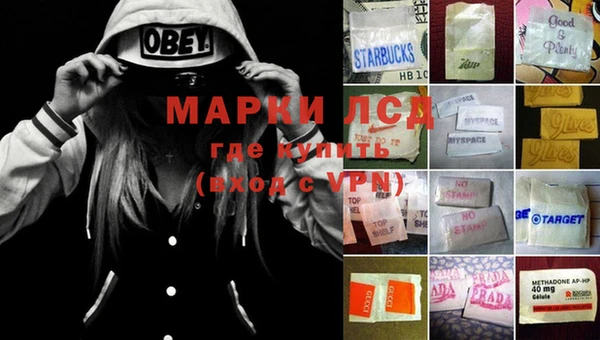 дживик Богданович