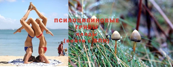 каннабис Богородицк