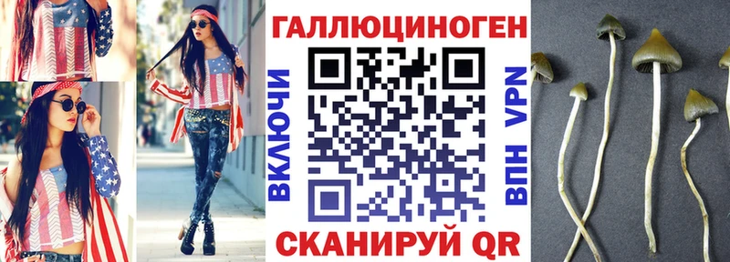 цена   Орск  Галлюциногенные грибы прущие грибы 